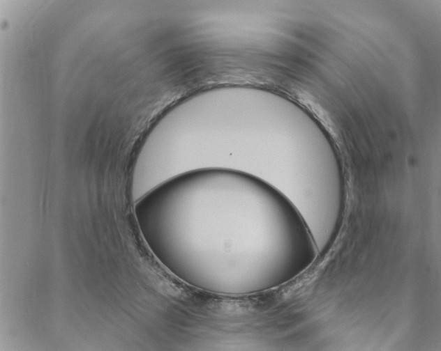 X0000088610305200705250904