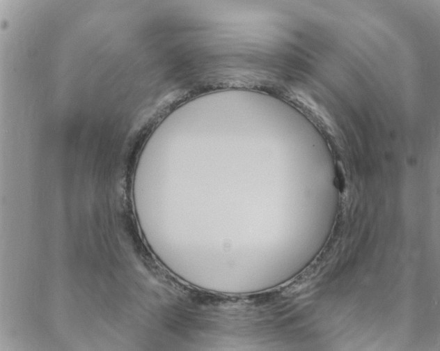 X0000088610306200705250904