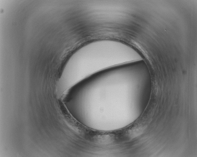 X0000088610307200705250904