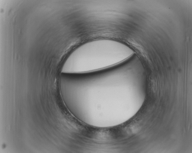 X0000088610308200705250904