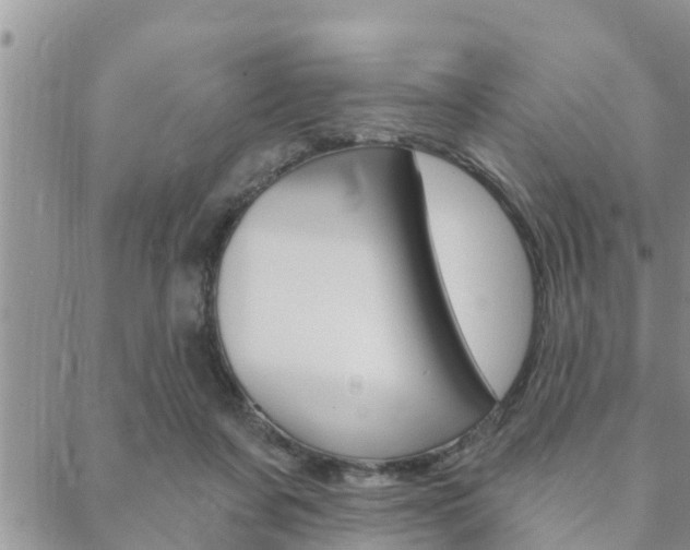 X0000088610311200705250904