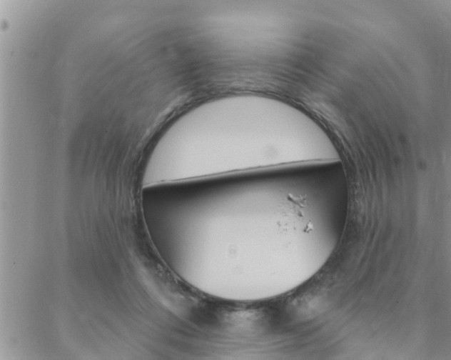 X0000088610312200705250904