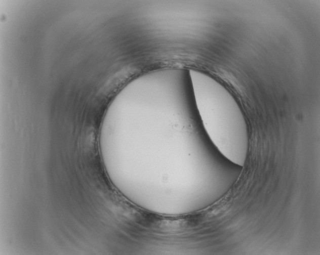 X0000088610314200705250904