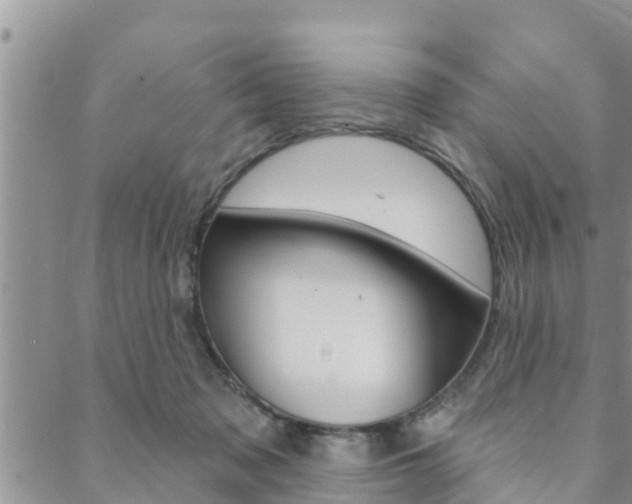 X0000088610317200705250904