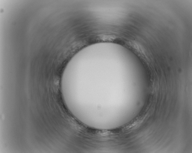 X0000088610321200705250904