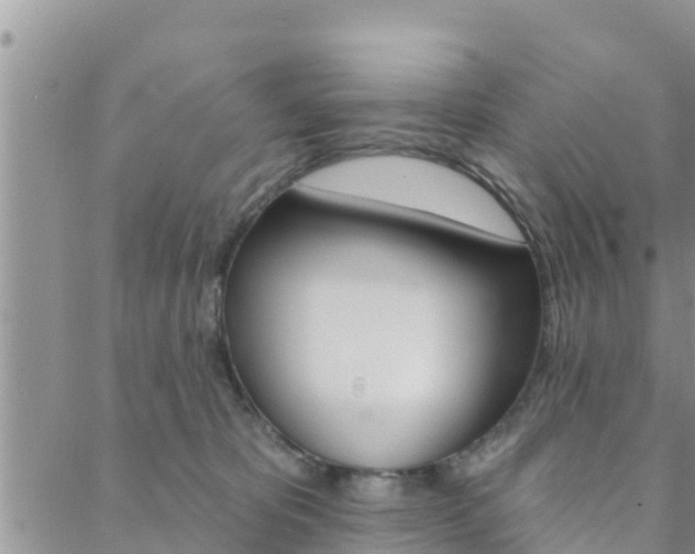 X0000088610325200705250904