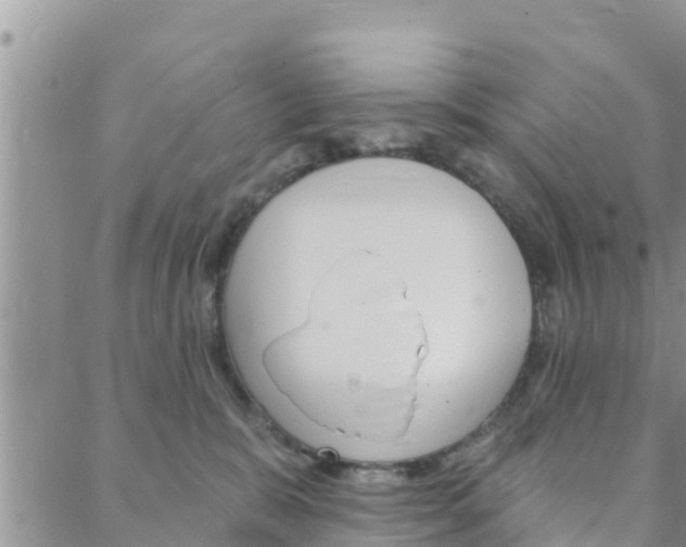 X0000088610327200705250904