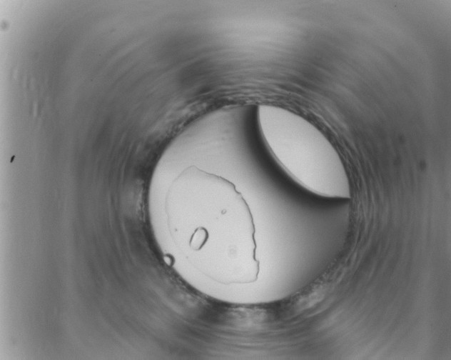 X0000088610328200705250904