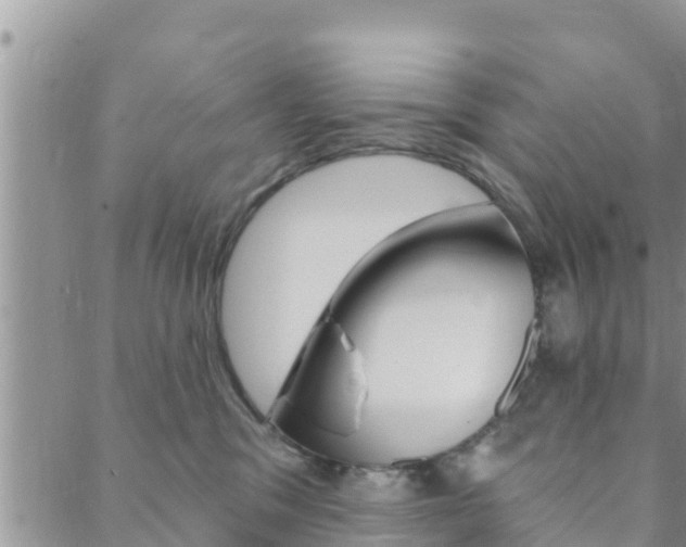 X0000088610329200705250904