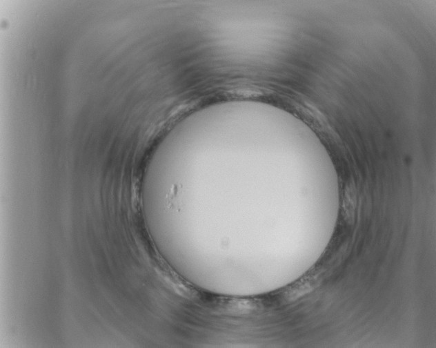 X0000088610330200705250904