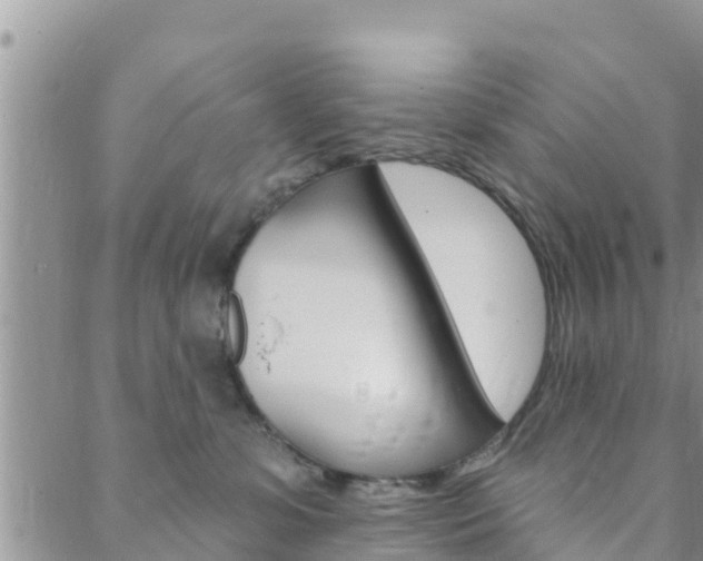 X0000088610331200705250904