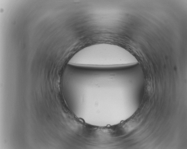 X0000088610332200705250904