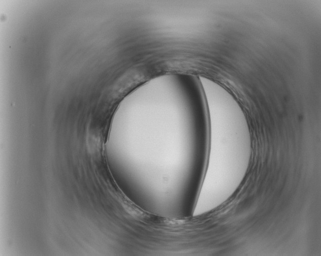 X0000088610333200705250904