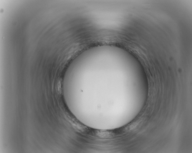 X0000088610336200705250903