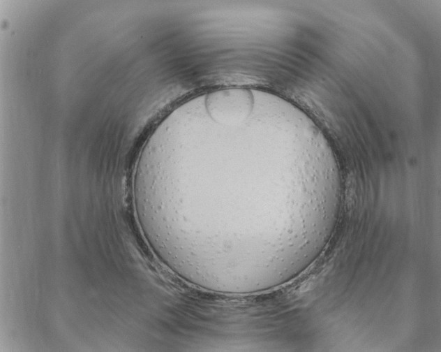 X0000088610351200705250903