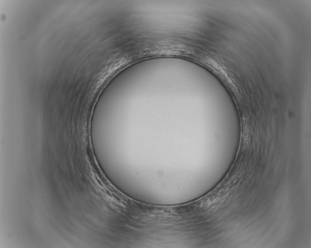 X0000088610386200705250903