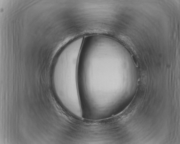 X0000088610395200705250903