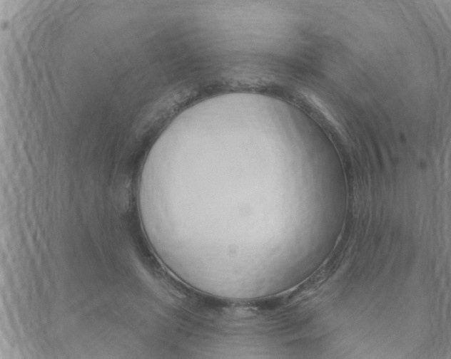 X0000088610451200705250901