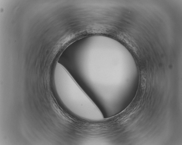 X0000088610631200705250858