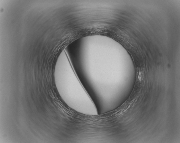 X0000088610771200705250856