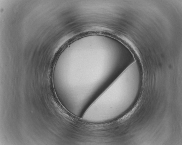 X0000088610783200705250856