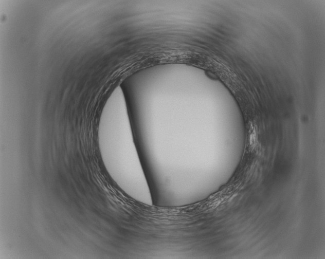 X0000088610819200705250855