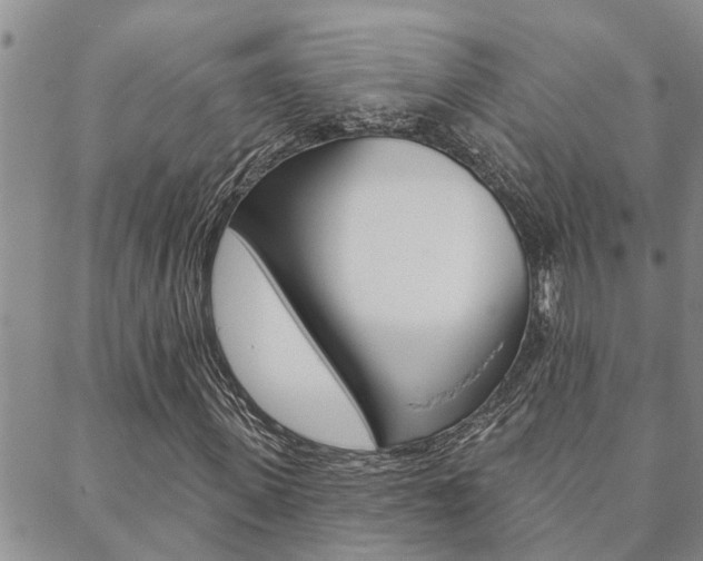 X0000088610915200705250853