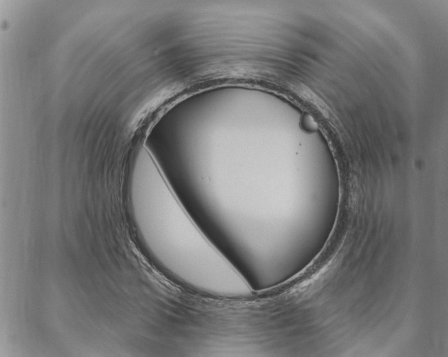 X0000088610922200705250854