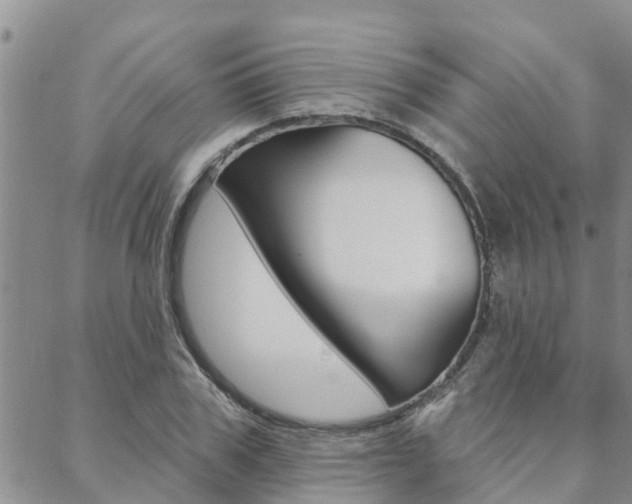 X0000088610979200705250853