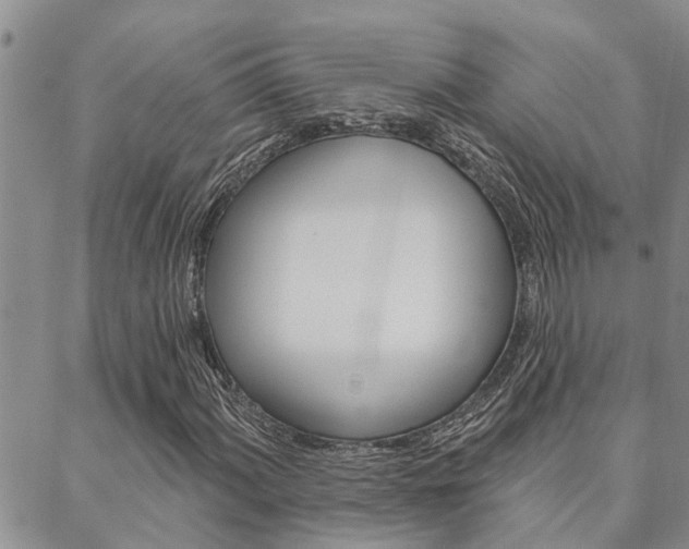 X0000088611060200705250852