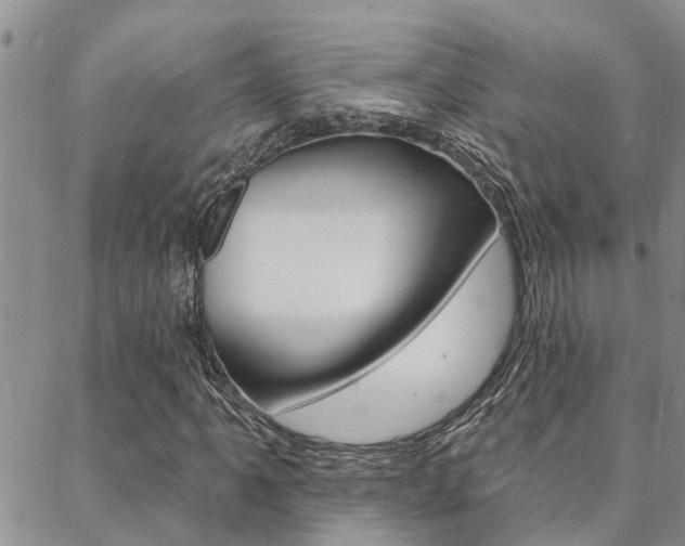 X0000088611061200705250852