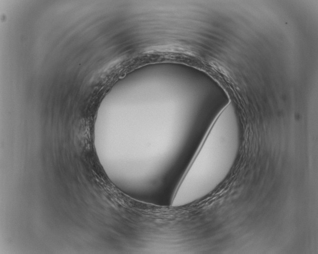 X0000088611062200705250852