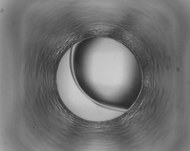 X0000088611108200705250850