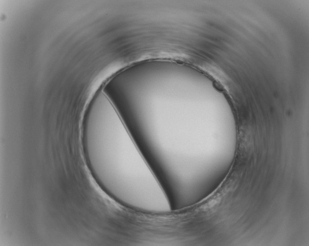 X0000088611135200705250851