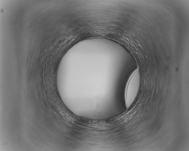 X0000088611201200705250849