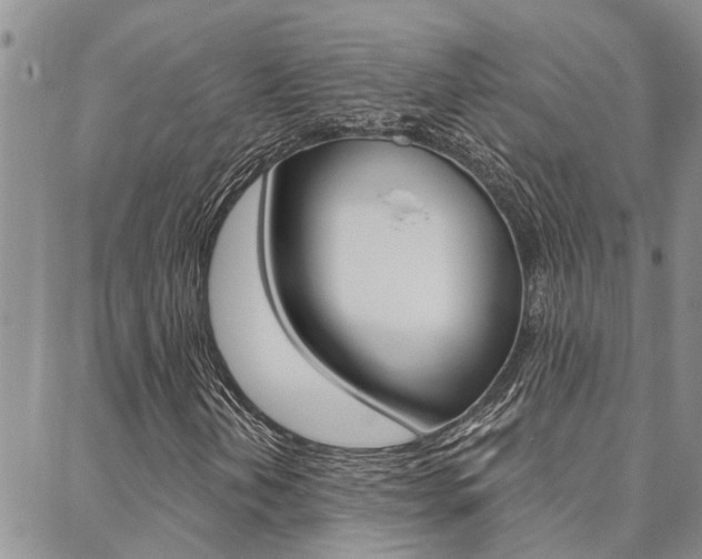 X0000088611202200705250849