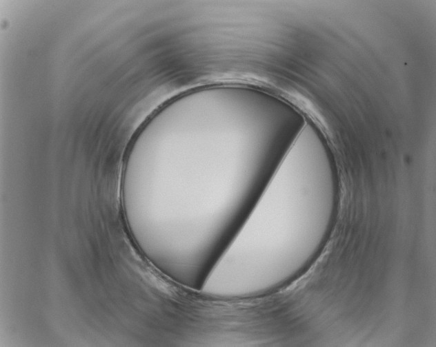 X0000088611228200705250849