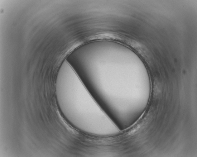 X0000088611233200705250849