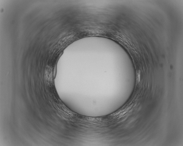 X0000088611251200705250849