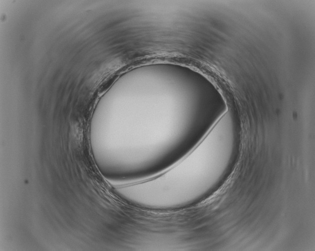 X0000088611257200705250849