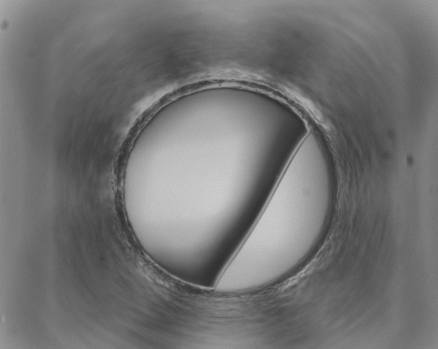 X0000088611264200705250848