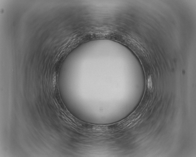 X0000088611299200705250847