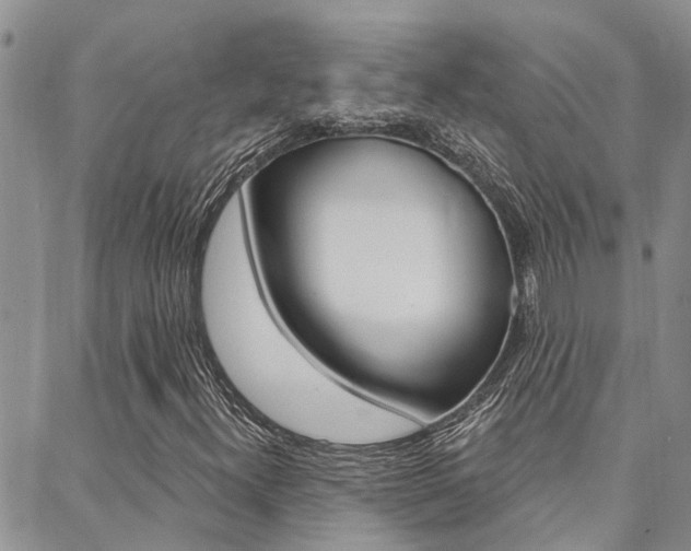 X0000088611300200705250847