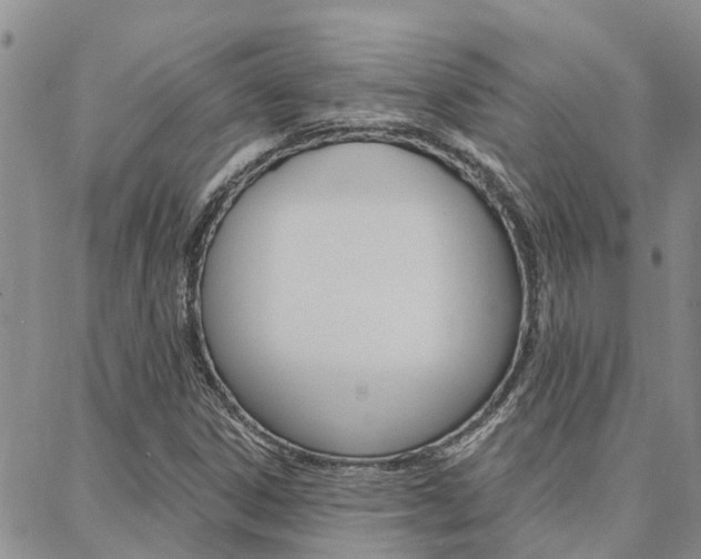 X0000088611306200705250847