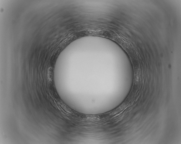 X0000088611346200705250847