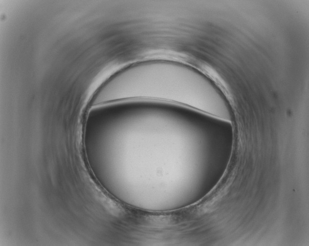 X0000088611376200705250847