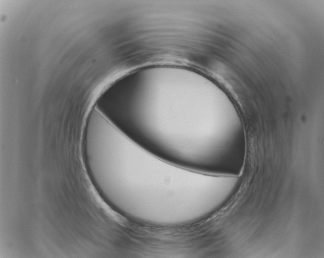 X0000088611379200705250847