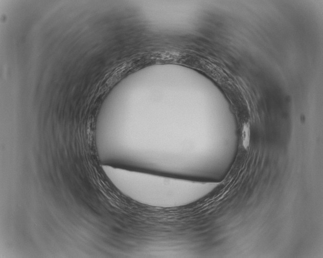 X0000088611395200705250846
