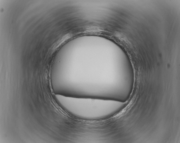 X0000088611401200705250846