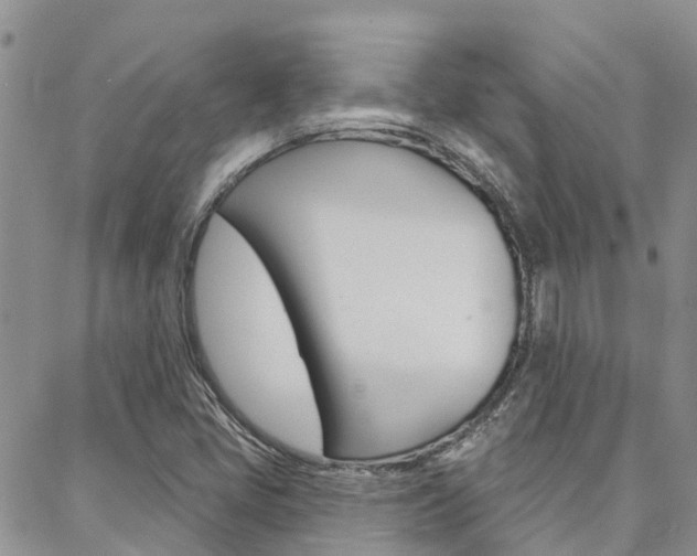 X0000088611405200705250846